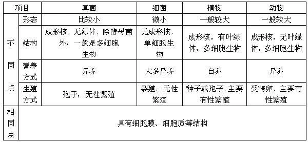 请你列表比较细菌,真菌,植物的相同和不同之处速度呀! _百度教育