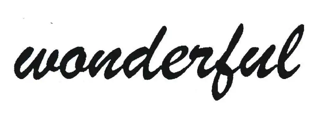 wonderful 商标公告