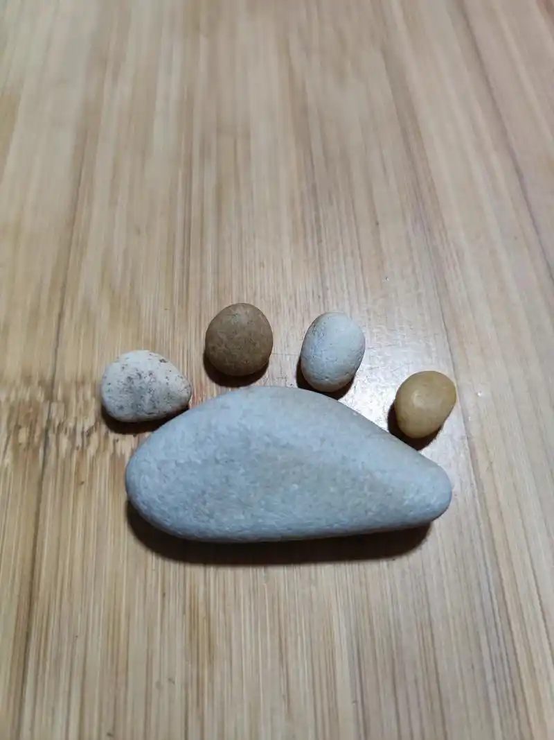 从海边捡到的小石头,随意一摆放,就是可爱造型.