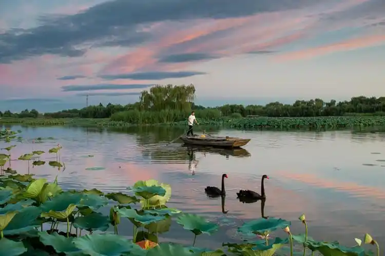 白洋淀景区门票多少钱一张?现在开放了吗?