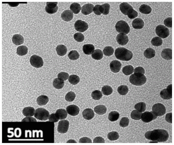 一种用于检测重金属离子的金纳米粒子及其制备方法与流程