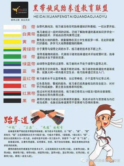 黑带旋风跆拳道2019年第三届晋级考试规程