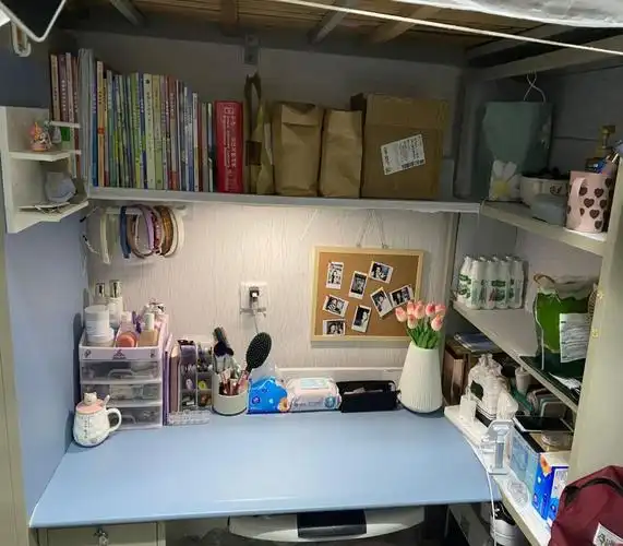 (干净整洁创意寝室:207#508)