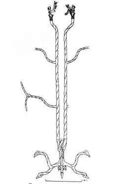 三星堆青铜神树