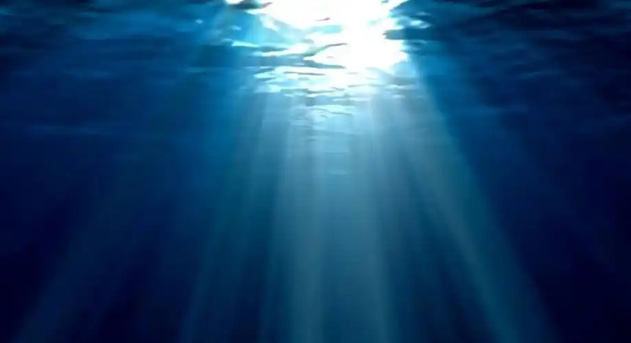 回顾为什么科学家好像一直在探索太空却不研究深海深海多恐怖