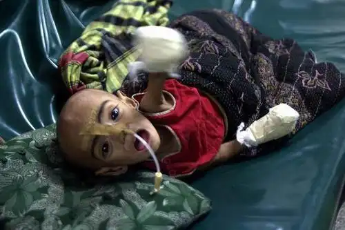 影像见证2004(组图)10