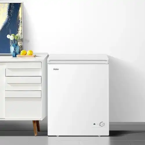 海尔142升小冰柜家用商用小型冷柜全冷冻冷藏单温减霜节能冷柜