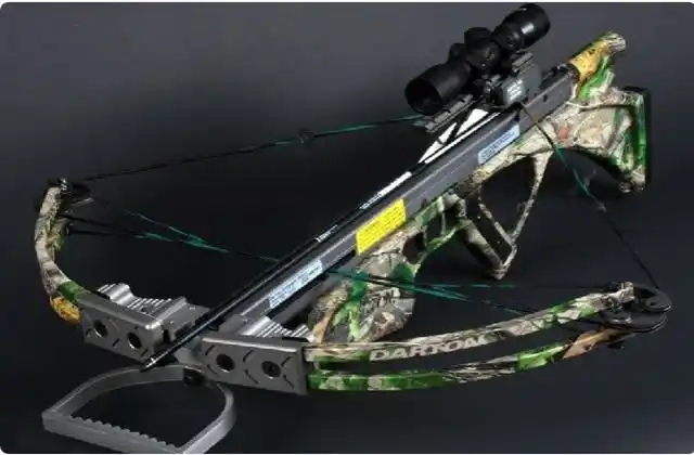 全球3大最强弓弩第1能将犀牛头骨打碎第2价值20万一把