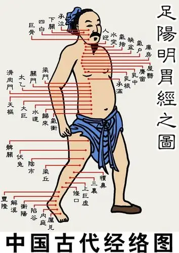 人体有奇穴 堪称万能胃药