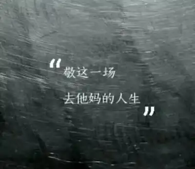 敬这一场,去他妈的人生.