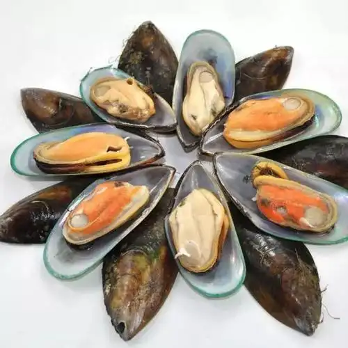 钦州有人吃了青口螺肚痛疑因为有寄生虫真相是