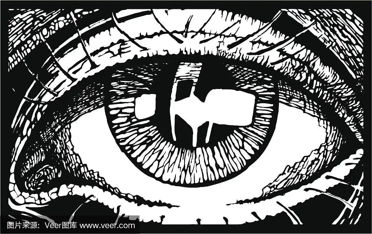 人的眼睛,绘画插图,铅笔画,黑白图片,矢量