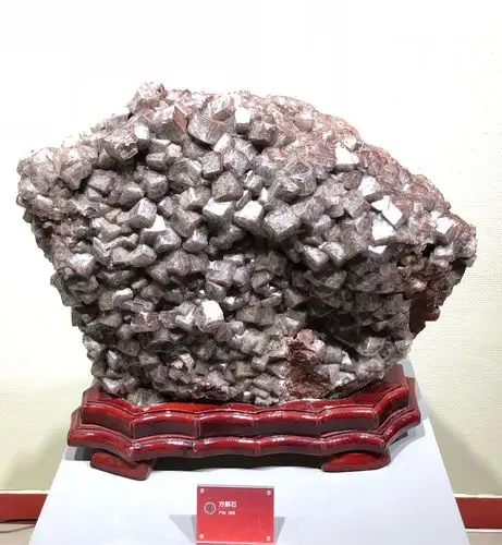 地球瑰宝——中国地质博物馆百年精品展