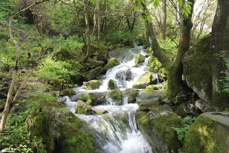 清澈的山间小溪