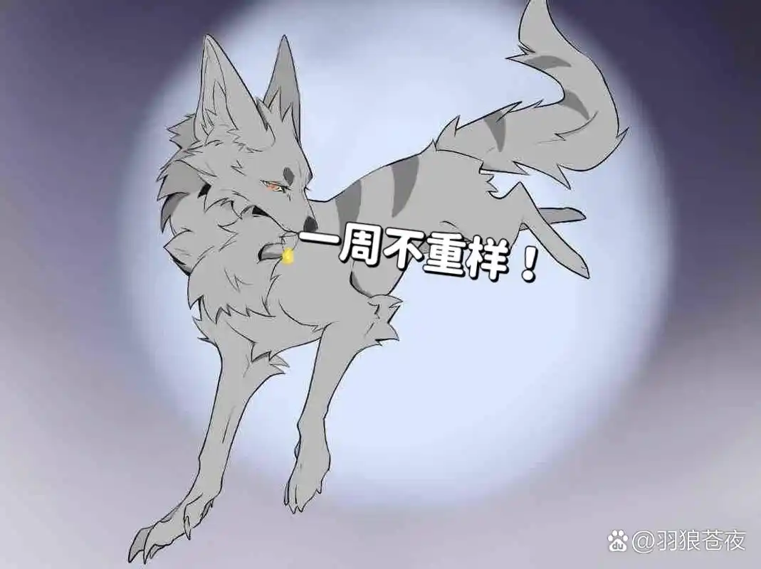 遛一遛卡莫,在xhs上抽送拿到的,很喜欢