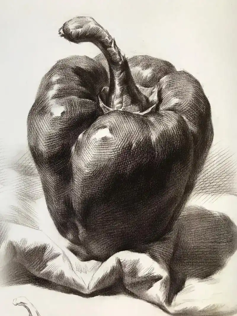 超详细干货知识5:素描青椒#素描静物 #吴居才素描静物 #x - 抖音