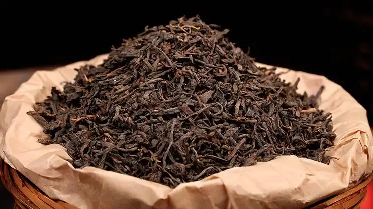 这些知识都不知道?千万别去喝六堡茶!