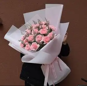 送妈妈母亲节生日鲜花速递三亚市文昌万宁市同城配送红康乃馨花束