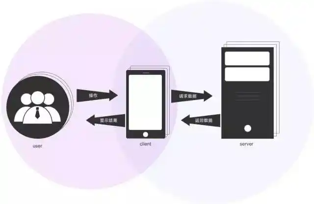 数据交互的常见方式及案例