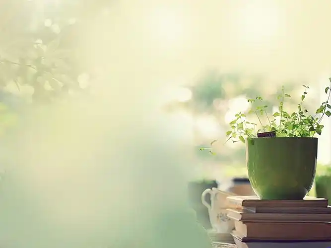 简单好看的背景