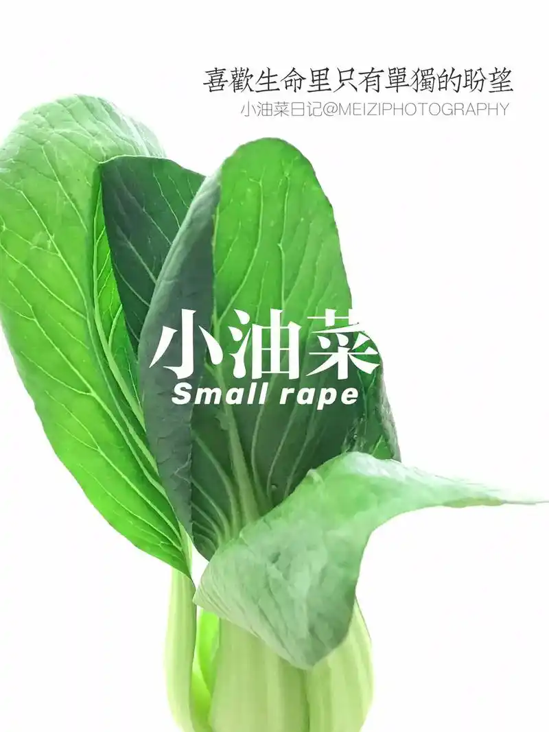 把油菜拍成吃不起的样子#手机摄影 #创意摄影#油菜自白书 # - 抖音