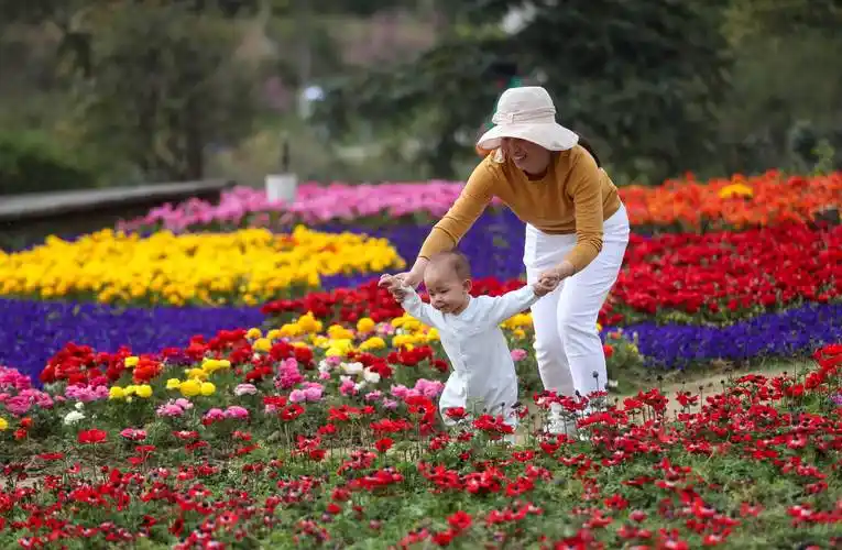 春花烂漫踏青时