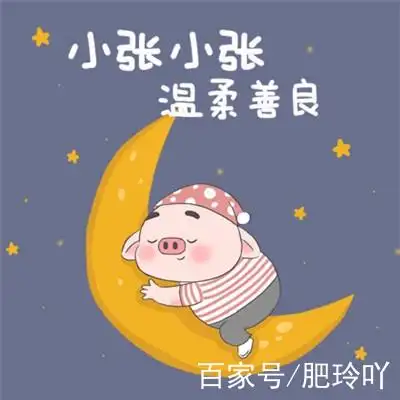 2.22|猪猪系列姓氏头像