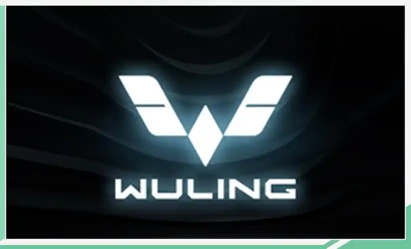 以2200万辆为新起点 五菱品牌5月25日发布新logo-和讯网