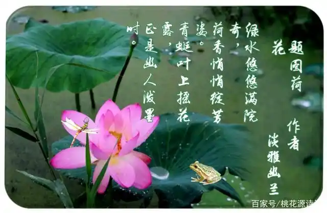 七律  赏莲 文/钟灵毓秀七律   夏夜湖边闻噪蝉,觅凉水榭赏青莲.