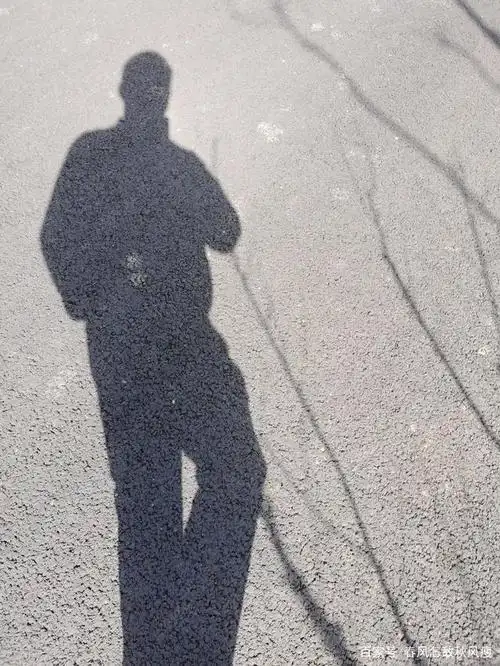 影子照耀着阳光