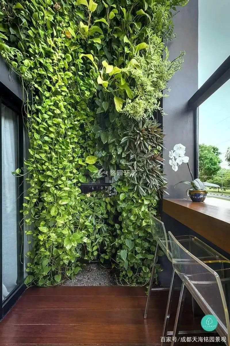 20 阳台绿化植物墙设计案例分享