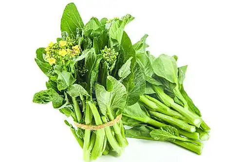 菜薹图片