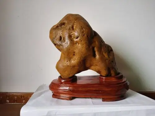 我收藏的十二生肖奇石(一套)