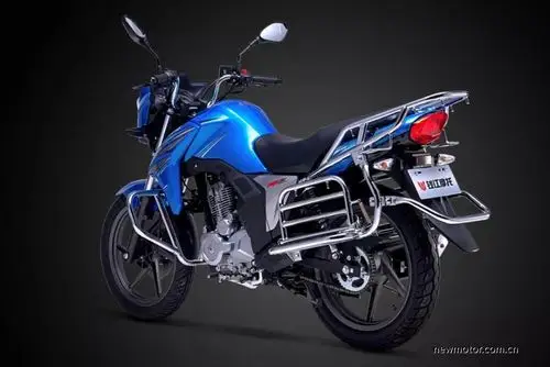 实用主义者钱江飞龙qj15026r上市