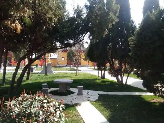 虞城县法华寺初夏掠影千年古刹新生机