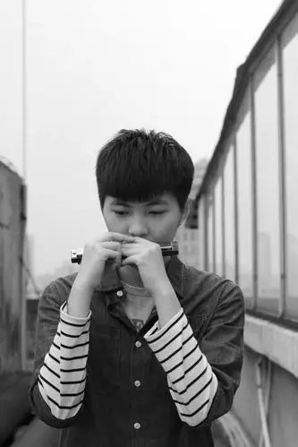 少年与口琴(三)