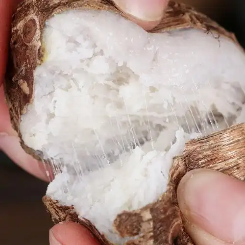 山东沂蒙山牛奶芋头新鲜小芋头香芋农家包邮整j箱芋艿毛芋5斤蔬菜