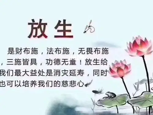 放生后如何回向_菩提_夫妻_胎儿_星座命理_星座命理其他