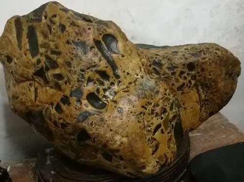 最美金纹象形石