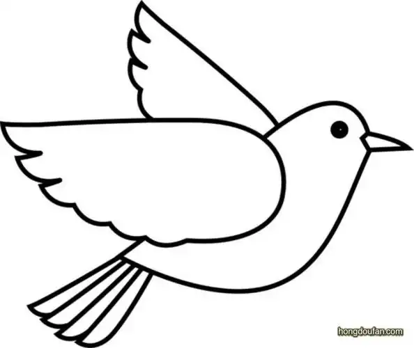 鸽子简笔画大全