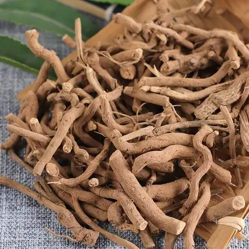 北京同仁堂 云南野生中药材青木香 土青木香 青藤香 官方直营10g试用