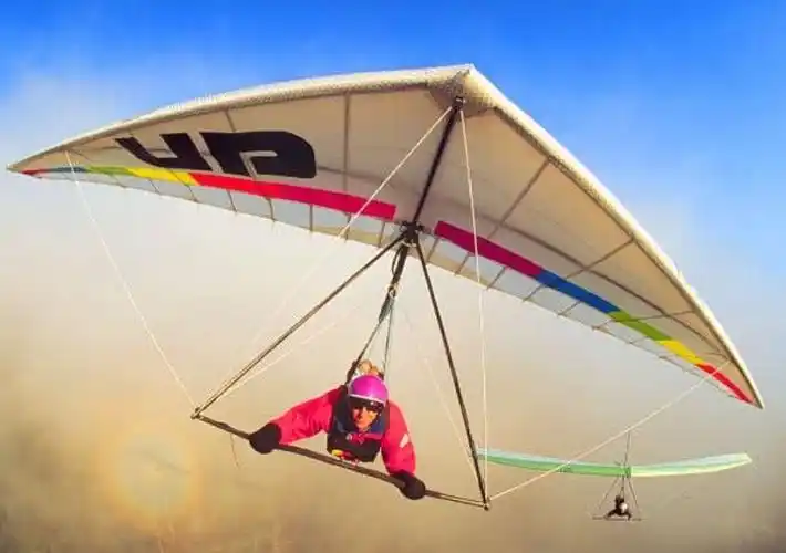 插上翅膀自由飞翔