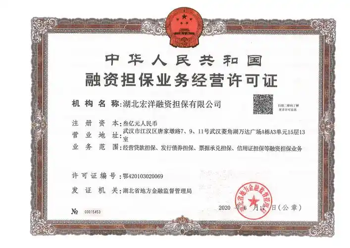 关于换发《融资担保业务经营许可证》的公告