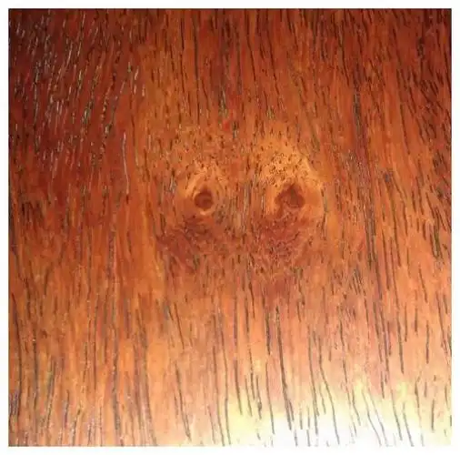 解剖珍贵的老黄花梨棕眼纹理图示,你能看懂吗|棕眼|花梨|纹理