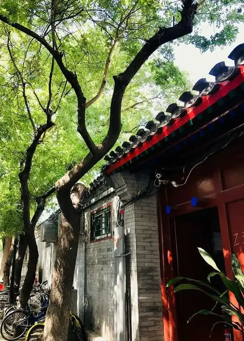 【携程攻略】北京钱粮胡同景点,来北京胡同打卡-钱粮胡同电影《有话好