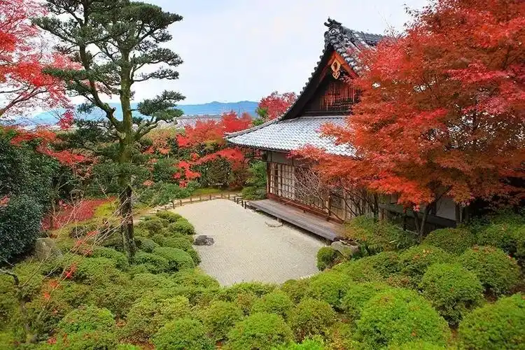 日本庭院,带你感受不一样的艺术之美,禅意之美