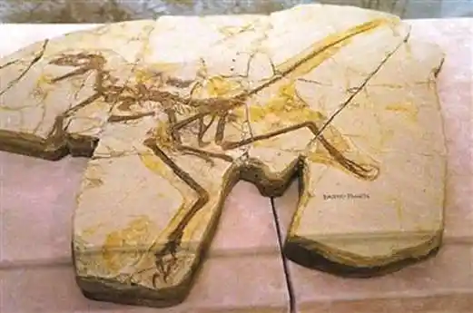 辽宁北票鸟化石国家级自然保护区