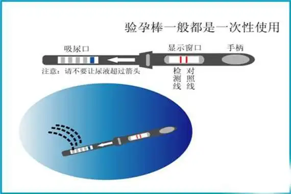 验孕棒三条线怎么回事三条线验孕棒怎么用图解