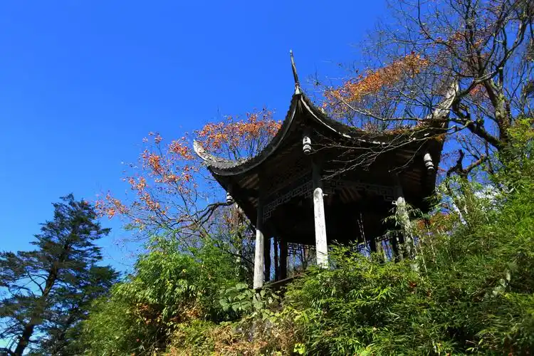 10.28峨眉山雷洞坪观彩林