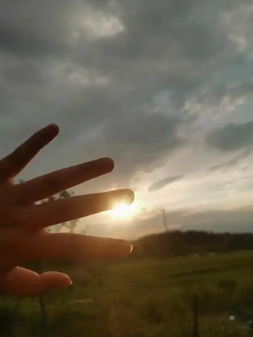 阳光吻上了我的指尖